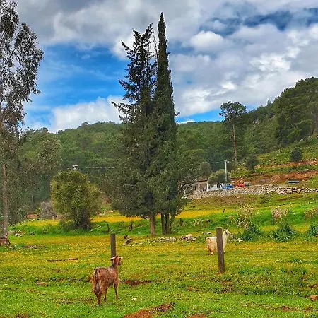 Kovan Alojamento de Turismo Selvagem *