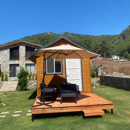 Kovan 山林小屋 *