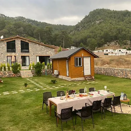 Kovan 山林小屋