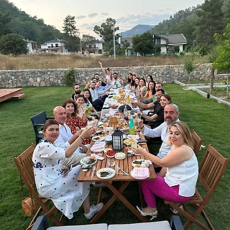 Kovan * Dalaman